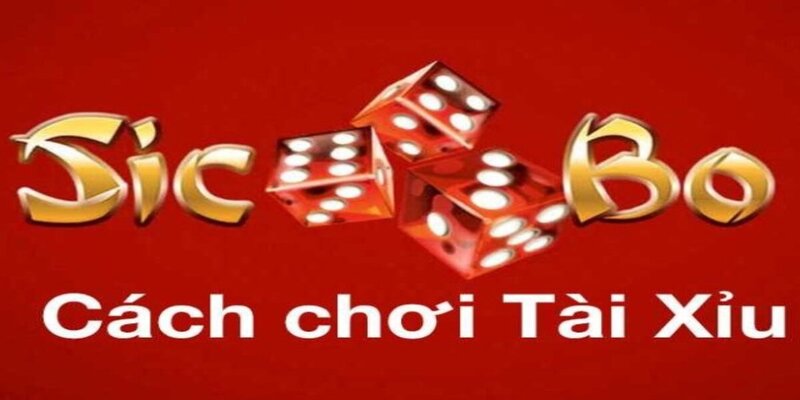 Chuẩn bị nguồn vốn dồi dào là cách chơi Tài Xỉu hiệu quả