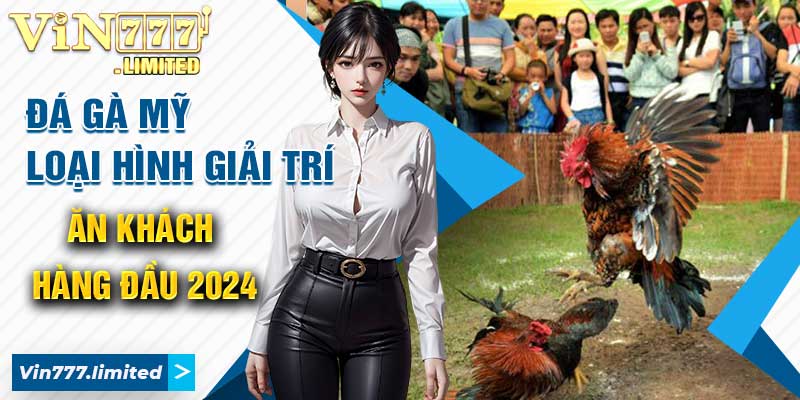Đá Gà Mỹ - Loại Hình Giải Trí Ăn Khách Hàng Đầu 2024