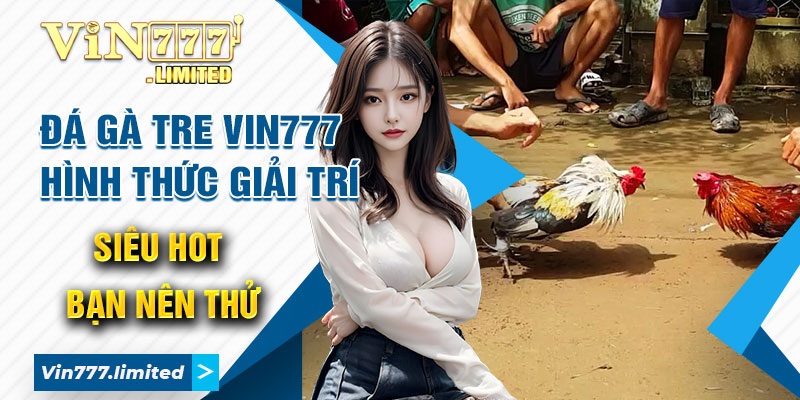 Đá Gà Tre Vin777 - Hình Thức Giải Trí Siêu Hot Bạn Nên Thử