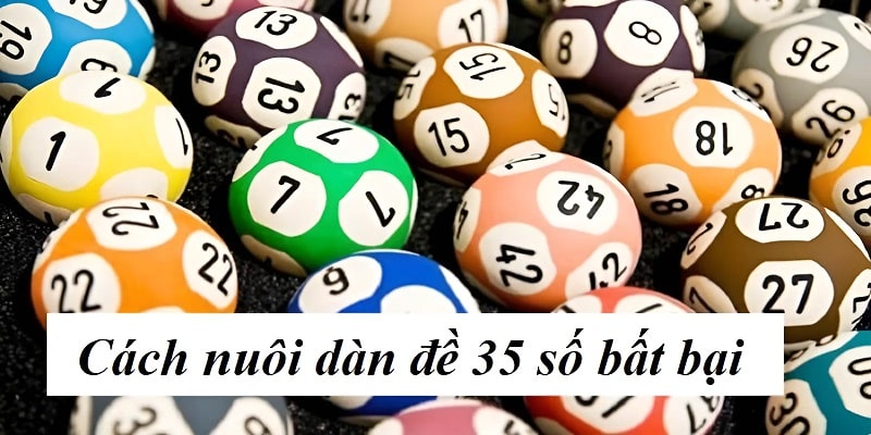 “Bỏ túi” những cách nuôi dàn đề 35 số bất bại