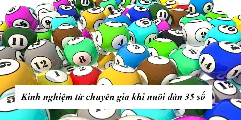 Kinh nghiệm được chia sẻ  từ chuyên gia khi nuôi dàn đề 35 số