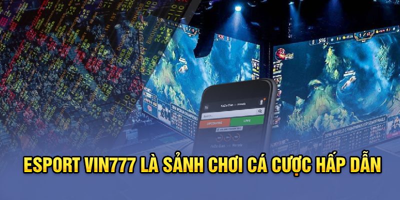 Esport Vin777 là sảnh chơi cá cược hấp dẫn