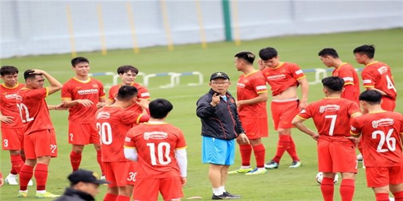 Những thông tin về đội tuyển Việt Nam tại World Cup 2022