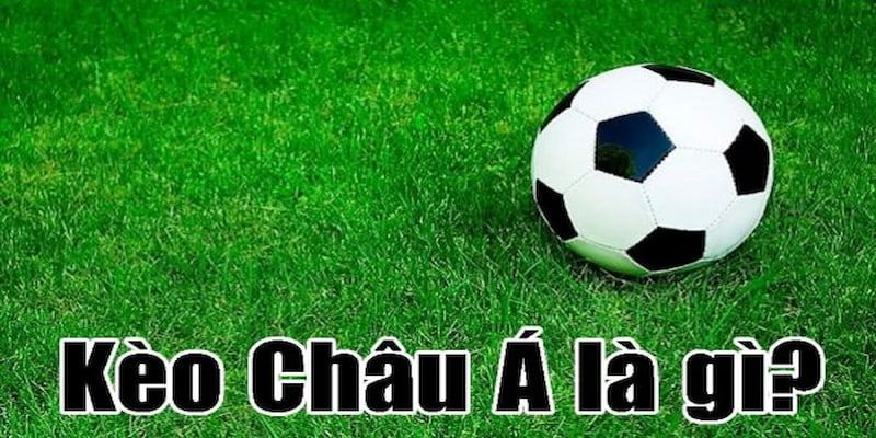 Soi kèo châu Á - Dự Đoán Chính Xác Cùng Nhà Cái Vin777