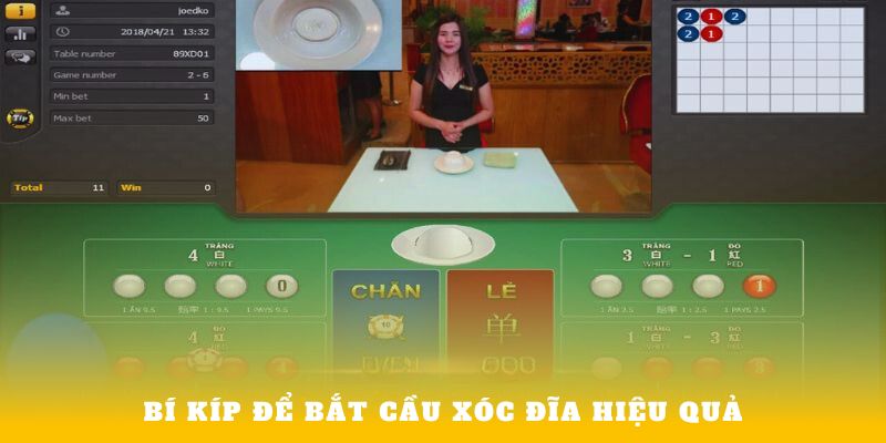 Bí kíp để bắt cầu xóc đĩa hiệu quả