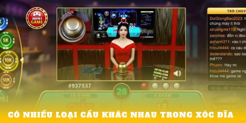 Có nhiều loại cầu khác nhau trong xóc đĩa