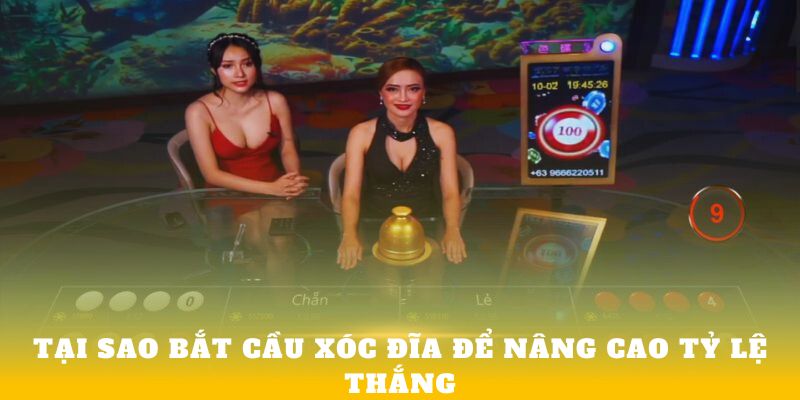 Tại sao bắt cầu xóc đĩa để nâng cao tỷ lệ thắng