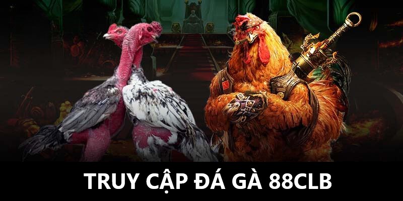 Tổng quan một chút về đá gà 88CLB