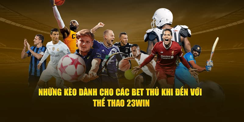 Đa dạng các loại kèo tại sảnh cược thể thao thú vị này