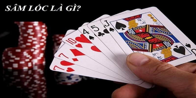 Sâm Lốc TP88 và những nét tổng quan nhất