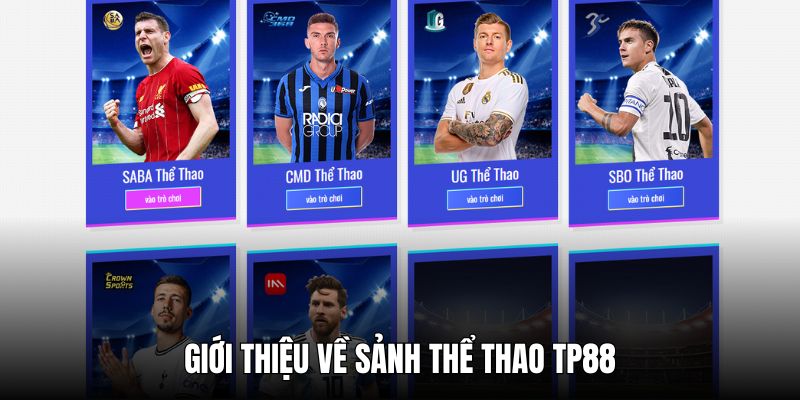 Thể thao TP88 - Sảnh cược hot dành cho cao thủ